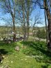 b_150_100_16777215_00_images_malopolskie10_zborowice135b.jpg