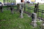 b_150_100_16777215_00_images_malopolskie8_dabtuch157b.JPG