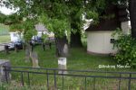 b_150_100_16777215_00_images_malopolskie8_dabtuch157c.JPG