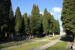 b_150_100_16777215_00_images_malopolskie_bochnia_radz.jpg