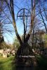 b_150_100_16777215_00_images_malopolskie_debno281b.jpg