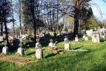 b_150_100_16777215_00_images_malopolskie_debno281c.jpg