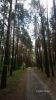 b_150_100_16777215_00_images_zagranica_bykownia8.JPG