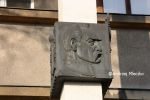 b_150_100_16777215_00_images_krakow_krak_oleandry3.JPG