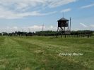 b_150_100_16777215_00_images_lubelskie_majdanek_pola.jpg