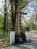 b_150_100_16777215_00_images_malopolskie10_nawojowa_krzyz.JPG
