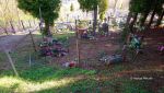b_150_100_16777215_00_images_malopolskie10_swisnicz312.JPG