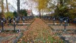 b_150_100_16777215_00_images_malopolskie10_walruda261.JPG