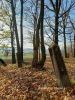 b_150_100_16777215_00_images_malopolskie11_raclawice_111f.jpg