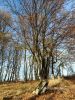 b_150_100_16777215_00_images_malopolskie11_raclawice_111g.jpg