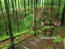 b_150_100_16777215_00_images_malopolskie11_skrzyszow_kruk3.jpg