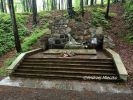 b_150_100_16777215_00_images_malopolskie11_skrzyszow_kruk5.jpg