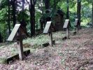 b_150_100_16777215_00_images_malopolskie2_konieczna46g.jpg
