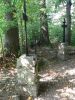 b_150_100_16777215_00_images_malopolskie2_lowczowek172d.jpg