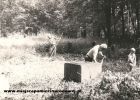 b_150_100_16777215_00_images_malopolskie2_sprzat192.jpg