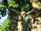 b_150_100_16777215_00_images_malopolskie6_florynka126f.JPG
