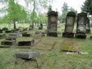 b_150_100_16777215_00_images_malopolskie6_niepolom328d.JPG