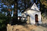 b_150_100_16777215_00_images_malopolskie6_szczyrzyc362e.JPG