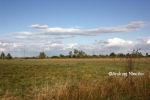 b_150_100_16777215_00_images_malopolskie7_wal_motyl.JPG