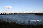 b_150_100_16777215_00_images_malopolskie7_wal_motyl11.JPG