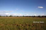 b_150_100_16777215_00_images_malopolskie7_wal_motyl2.JPG