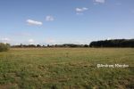 b_150_100_16777215_00_images_malopolskie7_wal_motyl3.JPG