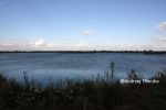 b_150_100_16777215_00_images_malopolskie7_wal_motyl5.JPG
