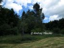 b_150_100_16777215_00_images_malopolskie8_sucha4.JPG
