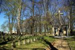 b_150_100_16777215_00_images_malopolskie_brzesko276e.jpg