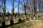 b_150_100_16777215_00_images_malopolskie_brzesko276j.jpg