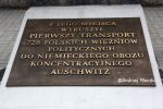 b_150_100_16777215_00_images_tarnow2_tarnow_transp4.JPG