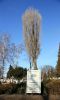b_150_100_16777215_00_images_tarnow_tar_krzyz_woj.jpg