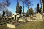 b_150_100_16777215_00_images_tarnow_tar_krzyz_woj6.jpg
